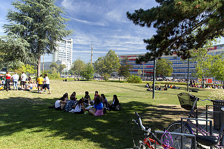 Sous le soleil, les pelouses du campus vert tendent les bras aux étudiants.