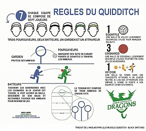 Les règles du quidditch traduites et expliquées  par Lille Muggle Quidditch (DR)