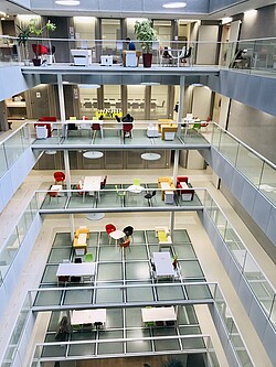 Les dix laboratoires du CRBS sont répartis autour d'un atrium central, très lumineux. Crédit : CRBS.