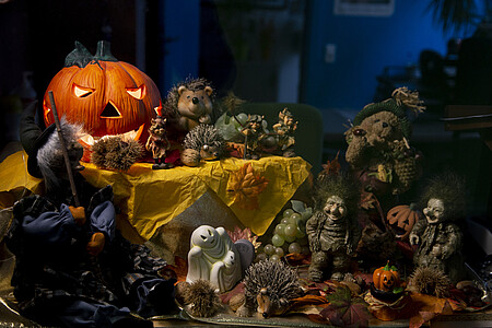 La décoration actuelle, sur le thème d'Halloween.