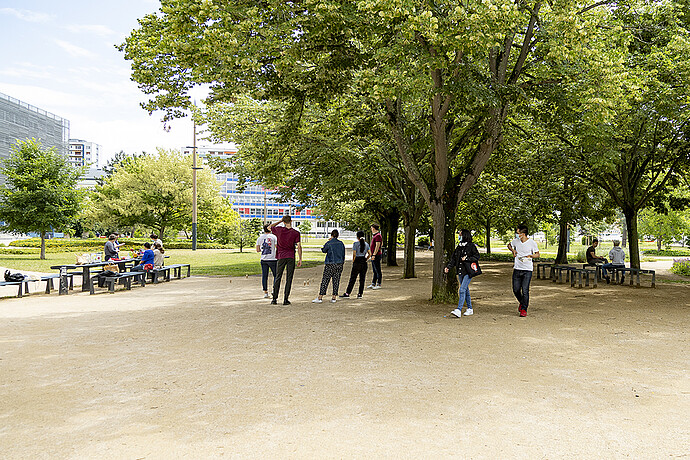 Il y a moins d’étudiants, à cette période de l’année, sur le parc du campus de l’Esplanade. Il n’en reste pas moins un beau jardin fréquenté.