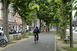Un cycliste sur le boulevard de la Victoire, jeudi 8 juillet.
